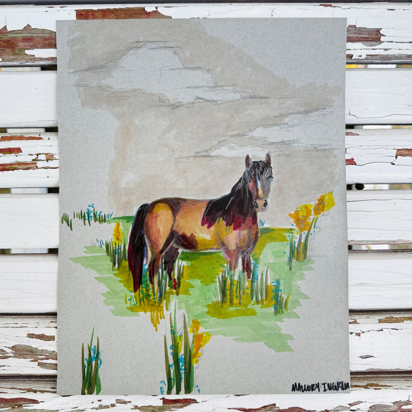 “Mustang” Sketch