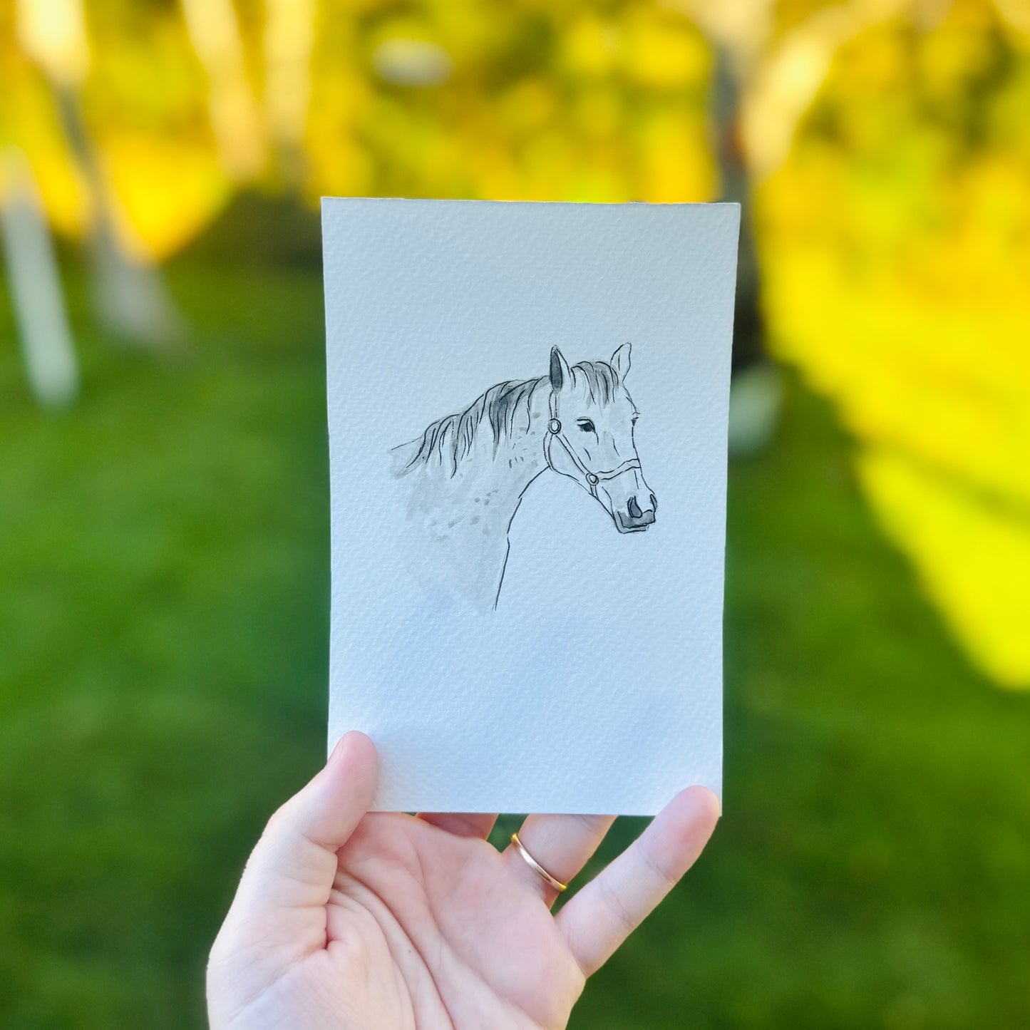 Watercolor Pet Portrait