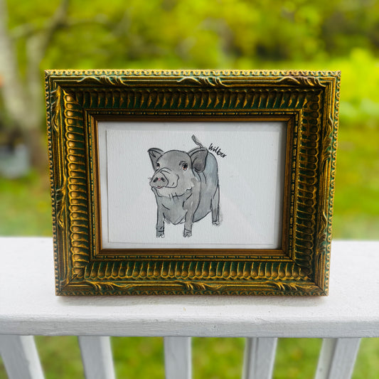 Pet Portrait Minis