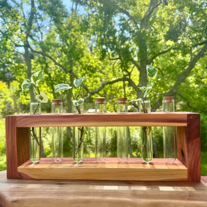 Cedar Propagation Station by The Piddlin’ Farm