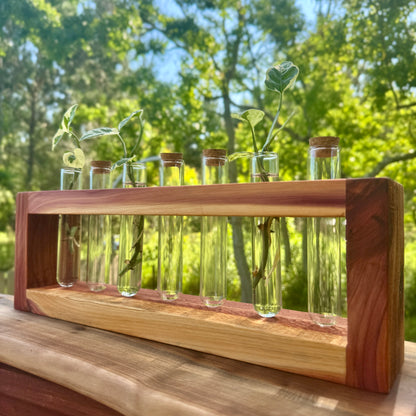 Cedar Propagation Station by The Piddlin’ Farm