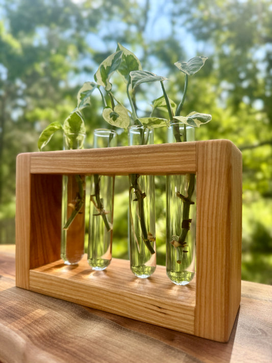 Cherry Propagation Station by The Piddlin’ Farm