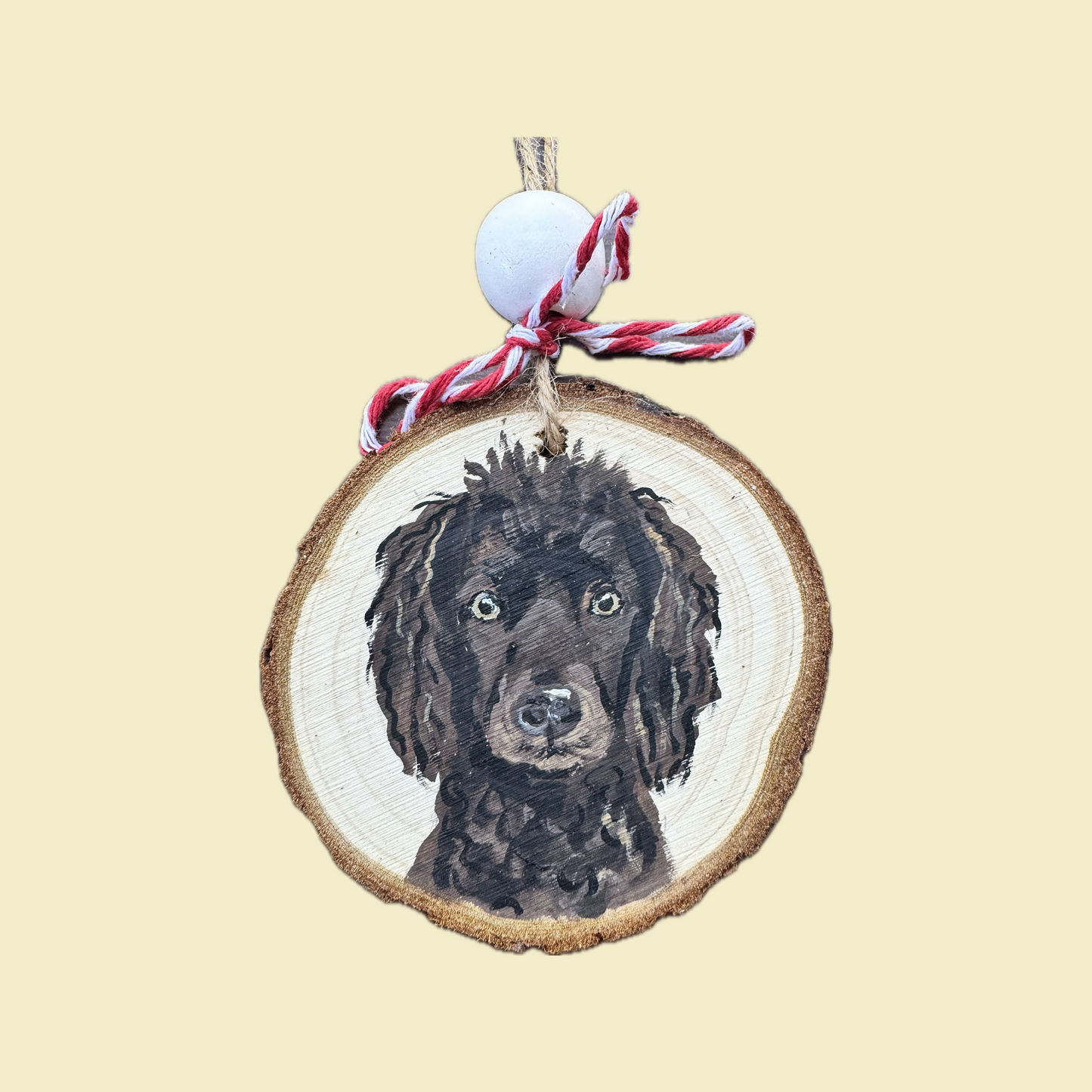 Custom Pet Portrait Ornament