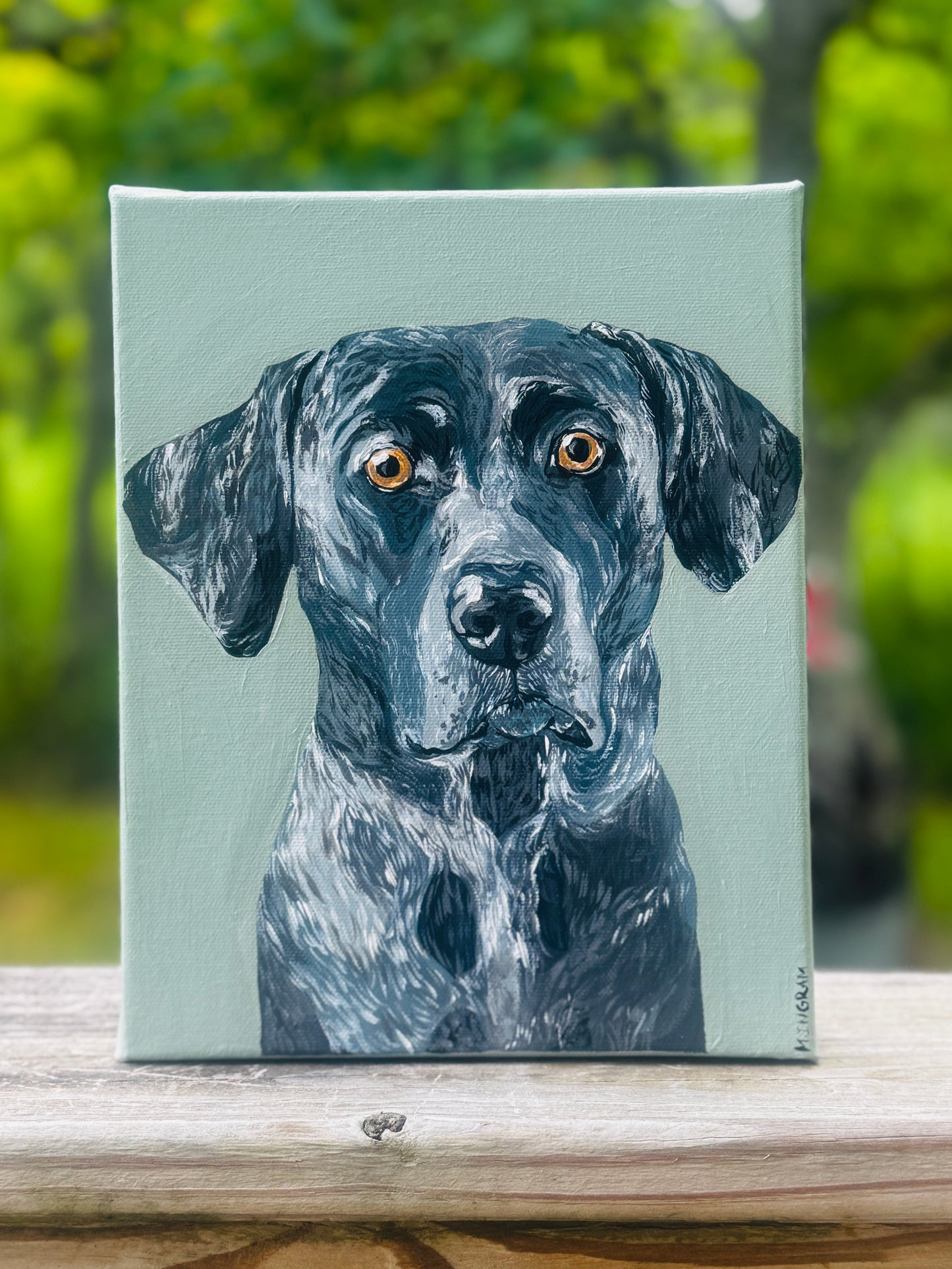 Custom Pet Portrait