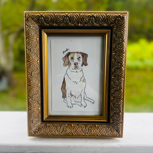 Pet Portrait Minis